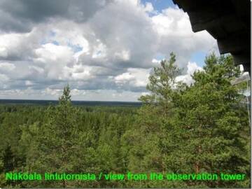 Фото номера Дом для отпуска Дома для отпуска Holiday Home Passimökki г. Punkalaidun 59