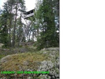 Фото номера Дом для отпуска Дома для отпуска Holiday Home Passimökki г. Punkalaidun 58