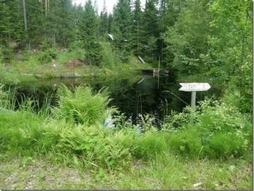 Фото номера Дом для отпуска Дома для отпуска Holiday Home Passimökki г. Punkalaidun 14