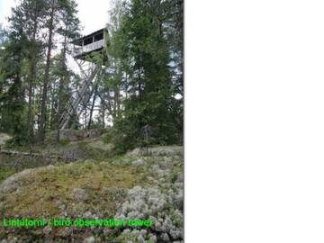 Фото номера Дом для отпуска Дома для отпуска Holiday Home Passimökki г. Punkalaidun 29