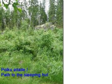 Фото номера Дом для отпуска Дома для отпуска Holiday Home Passimökki г. Punkalaidun 45