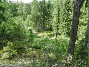 Фото номера Дом для отпуска Дома для отпуска Holiday Home Passimökki г. Punkalaidun 52