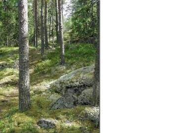 Фото номера Дом для отпуска Дома для отпуска Holiday Home Passimökki г. Punkalaidun 47