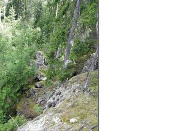 Фото номера Дом для отпуска Дома для отпуска Holiday Home Passimökki г. Punkalaidun 48