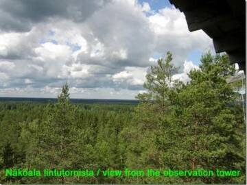 Фото номера Дом для отпуска Дома для отпуска Holiday Home Passimökki г. Punkalaidun 30