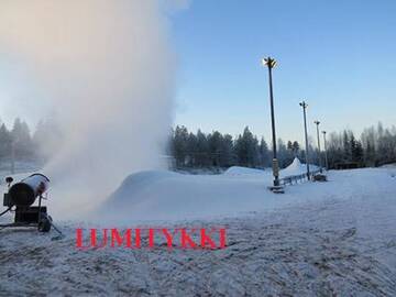 Фото Дома для отпуска Holiday Home Luisku г. Punkalaidun 2